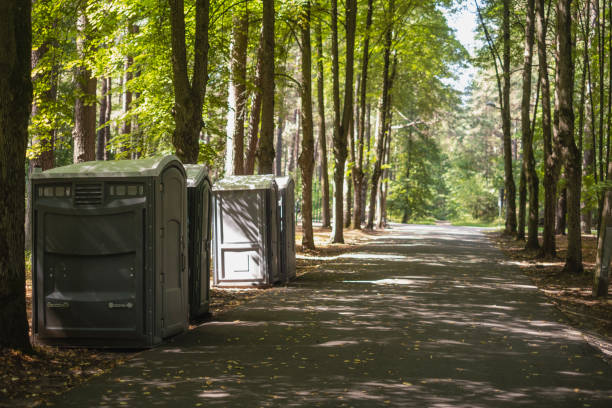 Best Portable toilet rental for construction  in Dundee, MI