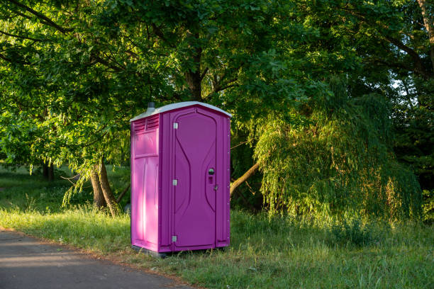 Best Sanitation services for porta potties  in Dundee, MI